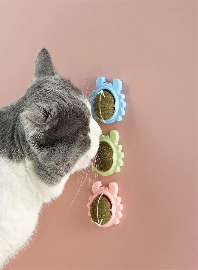MVM Enterprise Catnip Balls Toy for Cat Edible Balls Catnip Wall Roller for Cats Lick, Teeth Cleaning Kitten Chew Toys Safe Healthy Cat Wall Treats for Kitten (1) - Image 3